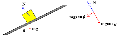 roza3.gif (1553 bytes)